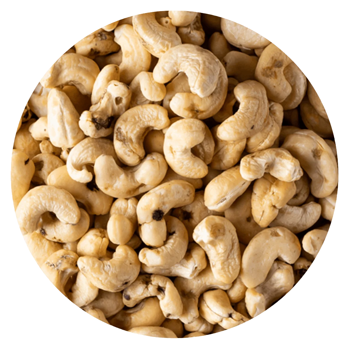 Castaña cajú w5