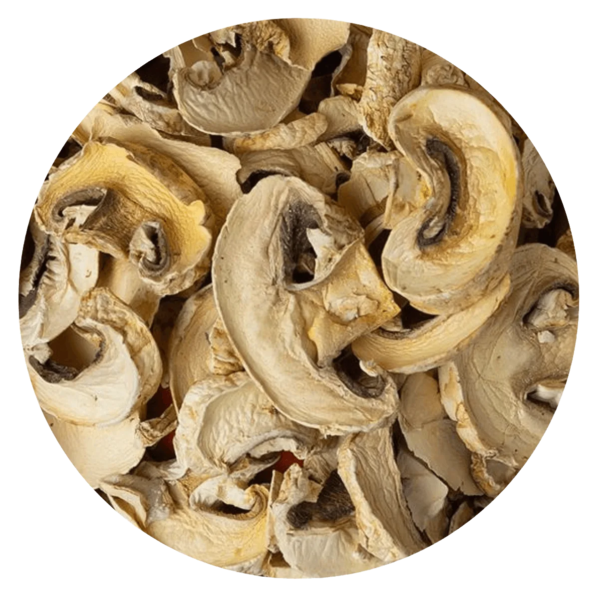 Hongo Champignon