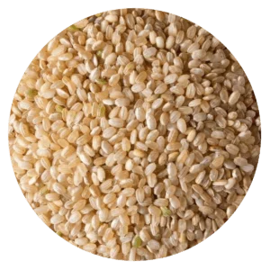 Arroz yamani agroecológico