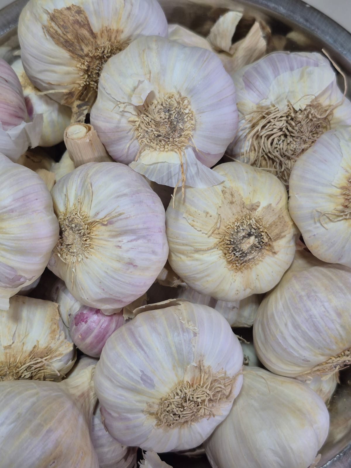 Ajo fresco 1kg