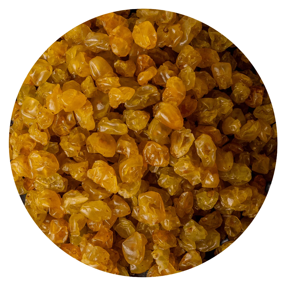 Pasa de uva rubia agroecológica