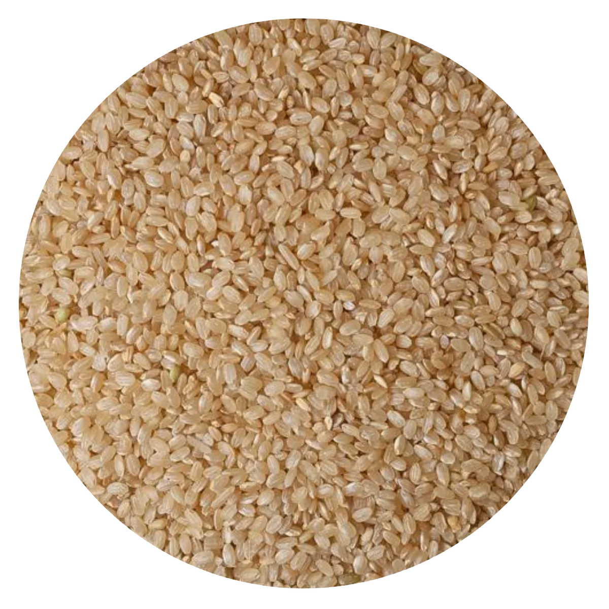 Arroz Yamani común