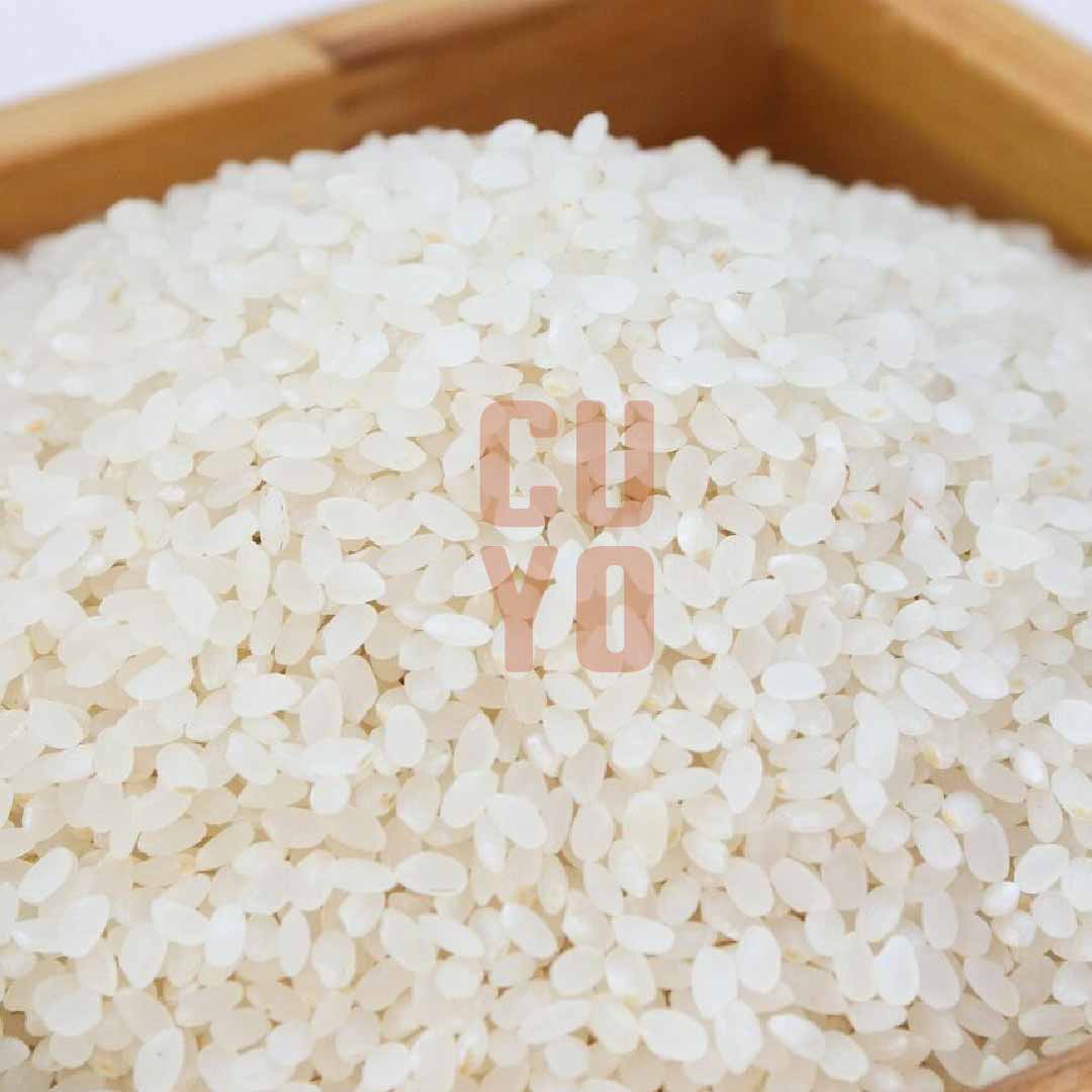 Arroz Koshihikari (Sushi)