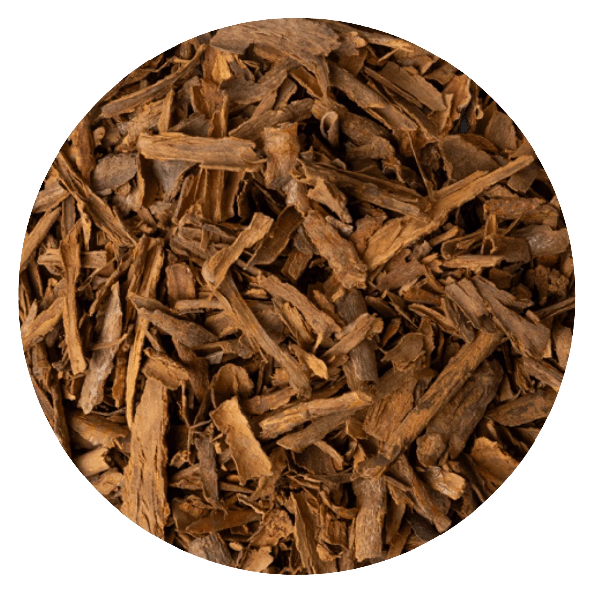 Canela chip rama