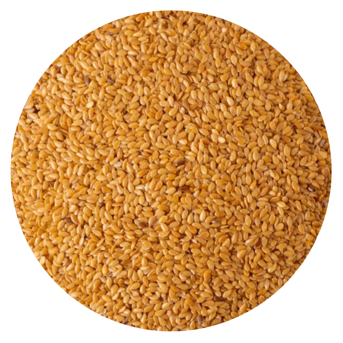 Semilla lino dorado