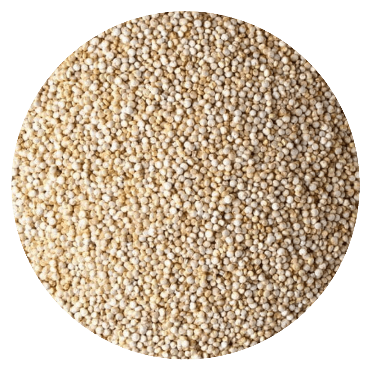 Semilla quinoa Importada (Menos Tiempo de Cocción)