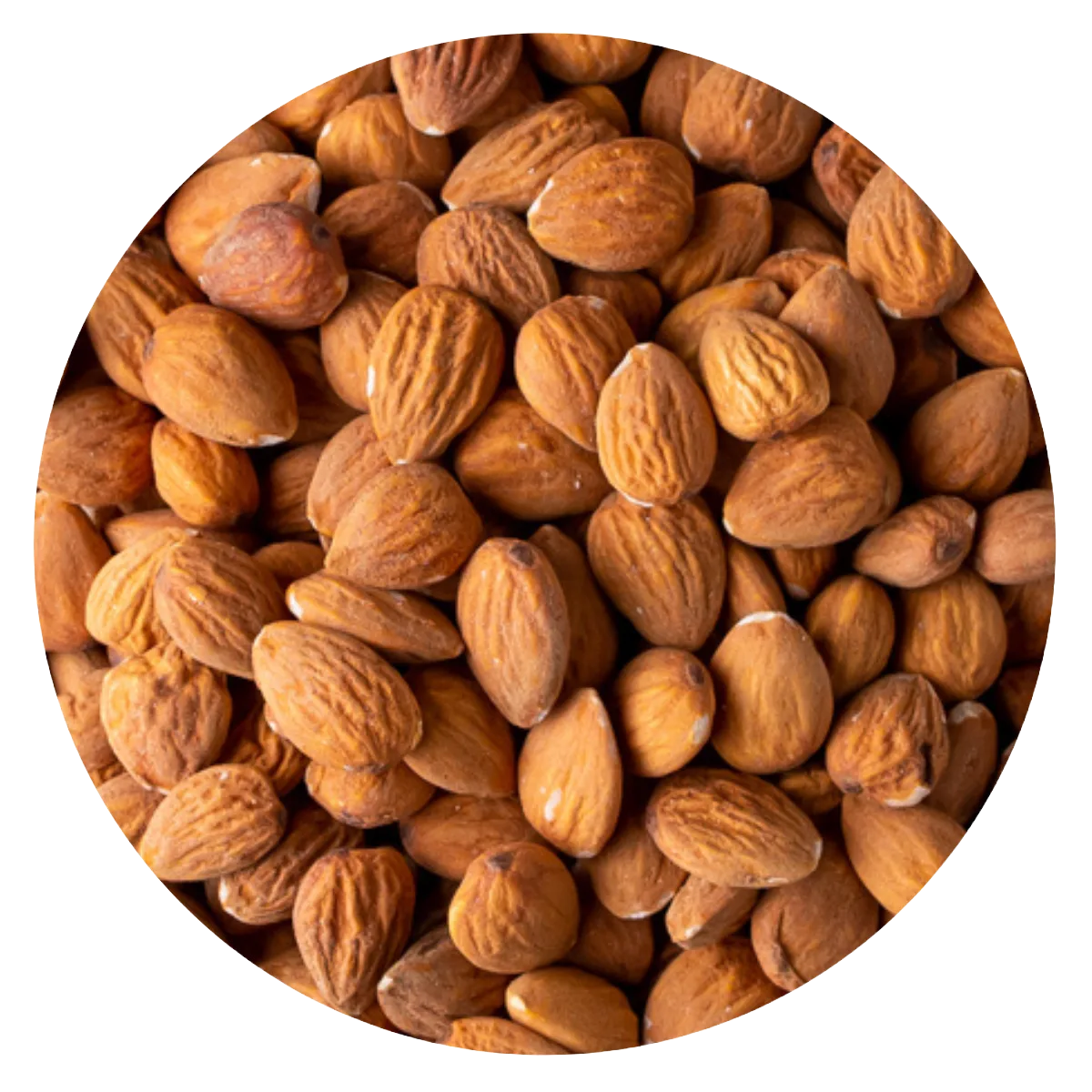 Almendra guara N2