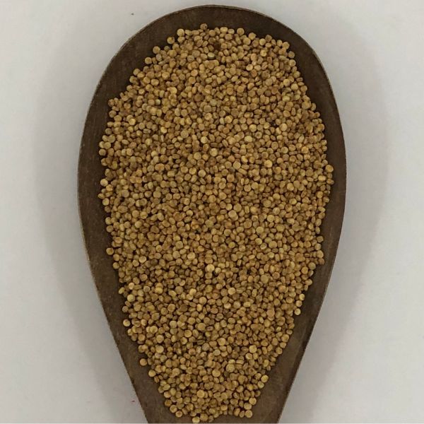 Quinoa Nacional (Toque Más Amargo)