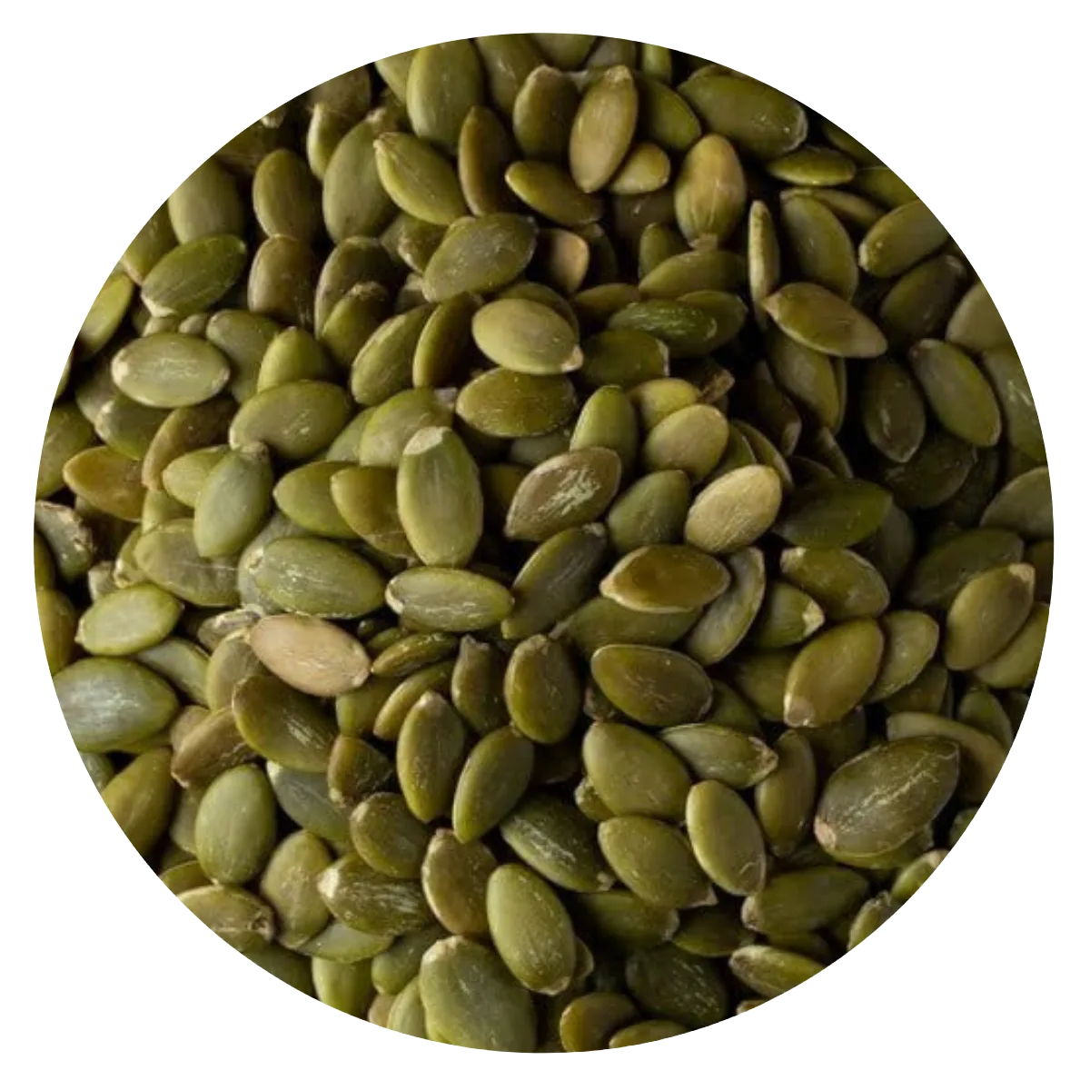 Semilla Zapallo AA