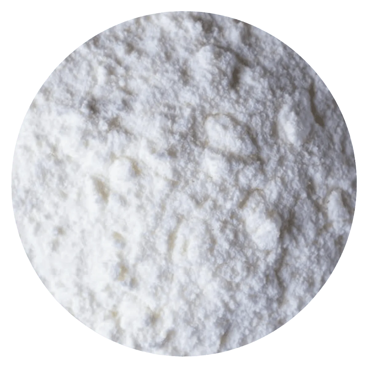 Leche coco en polvo