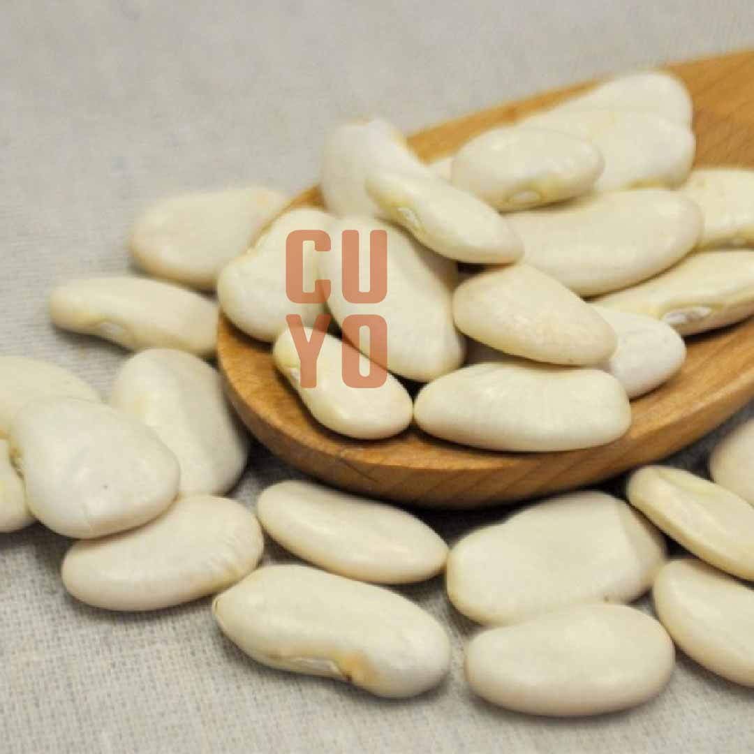 Poroto pallares