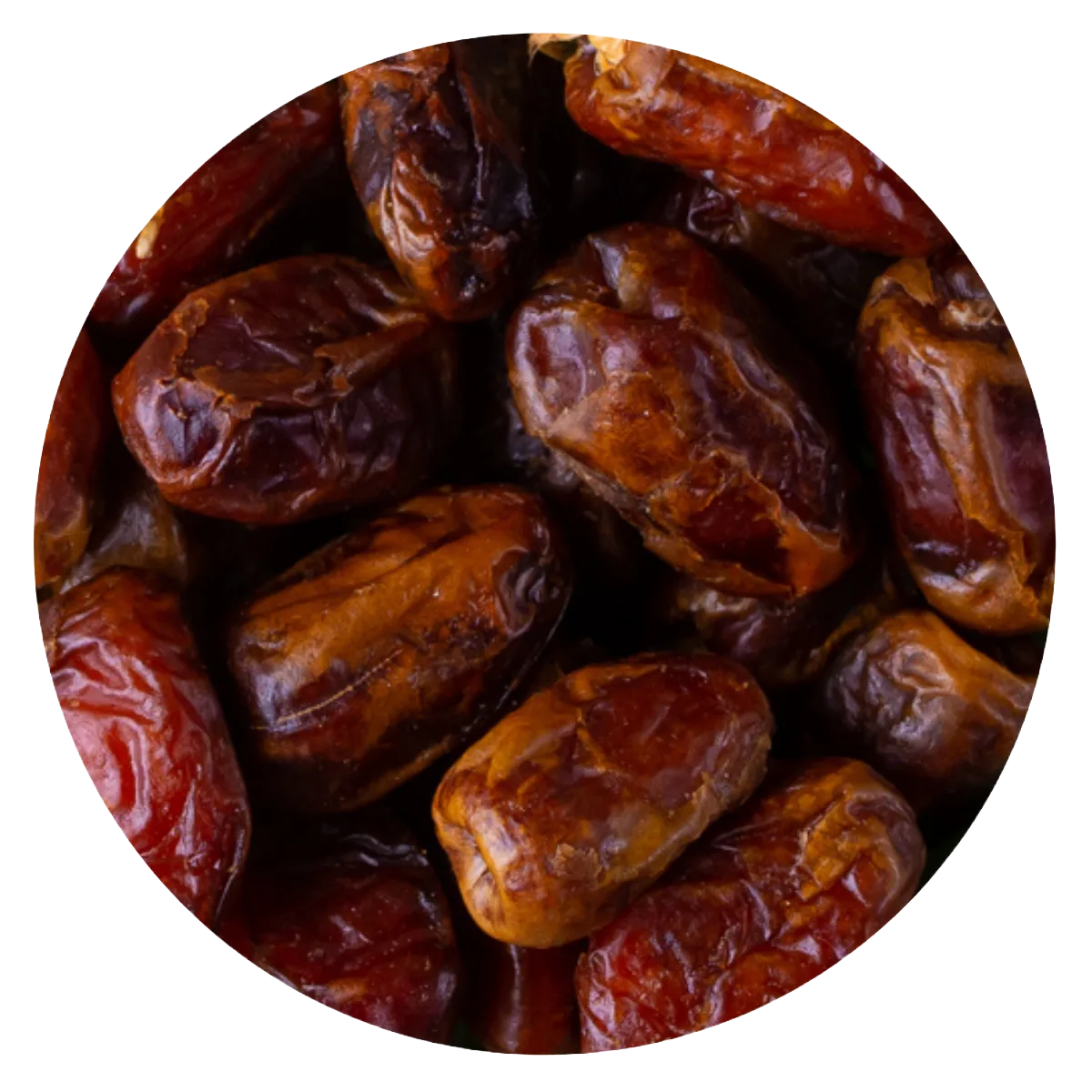 Dátil Egipto con carozo