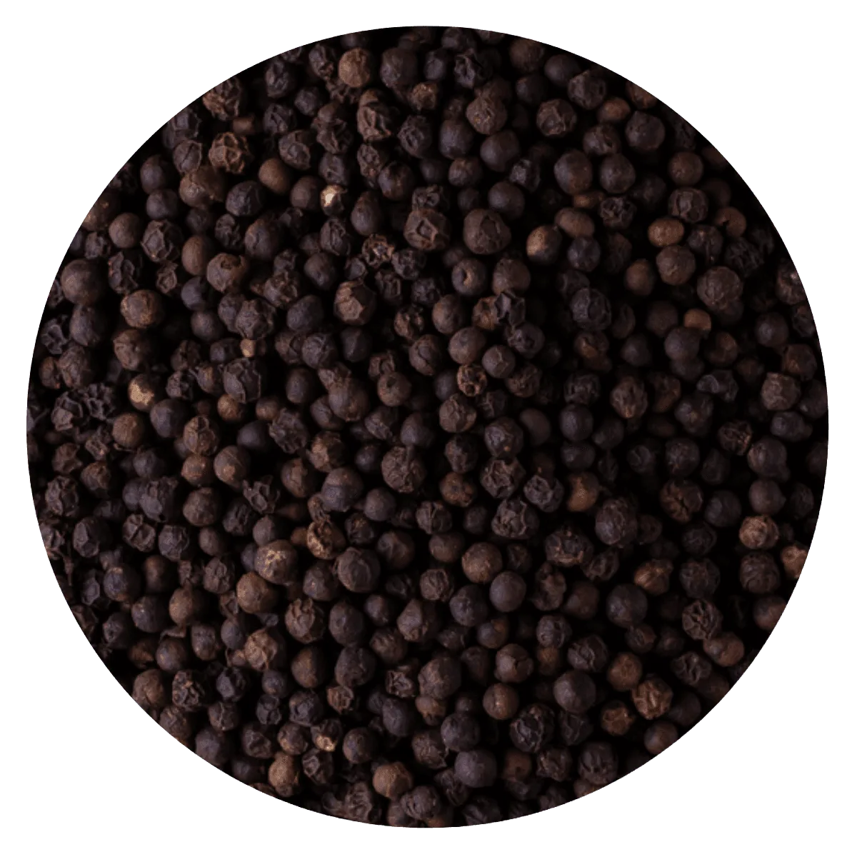 Pimienta negra en grano
