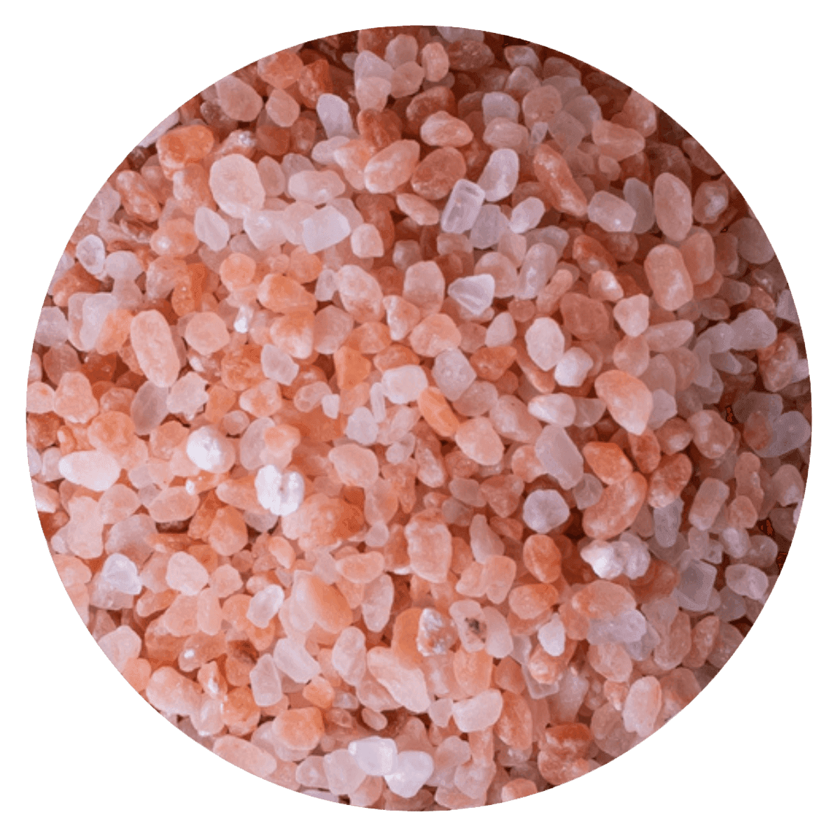 Sal himalaya gruesa