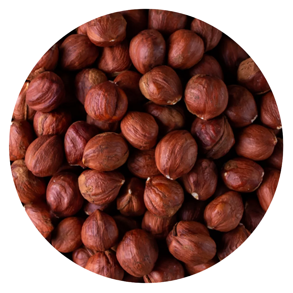 Avellana Pelada 11 13