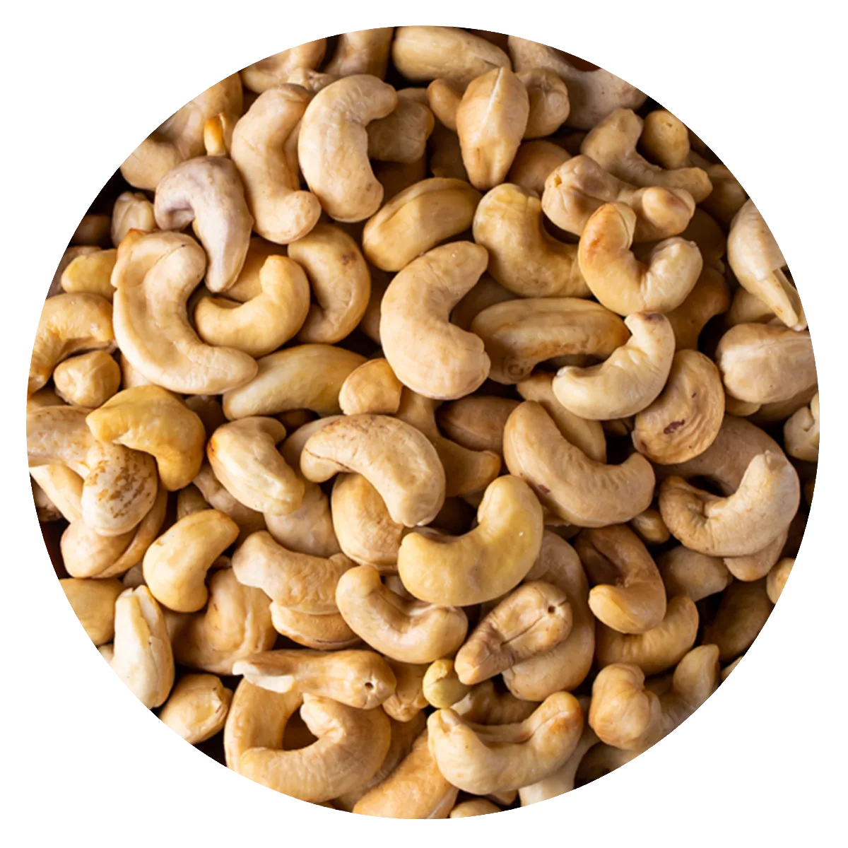 Castaña de cajú w3