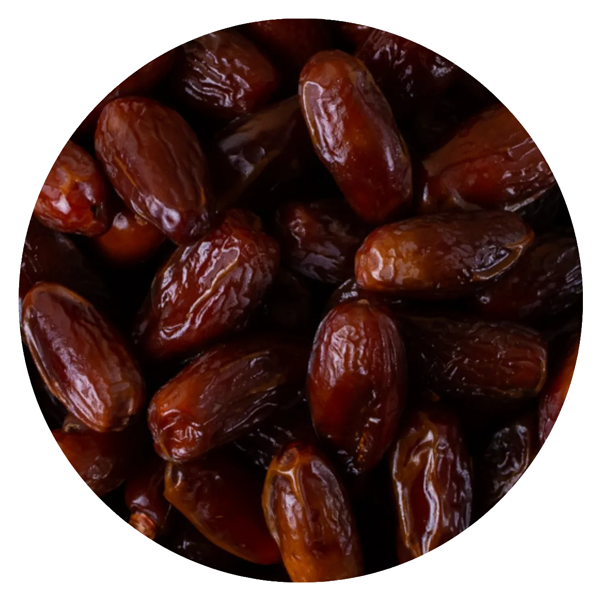 Dátil Argelia Deglet con Carozo