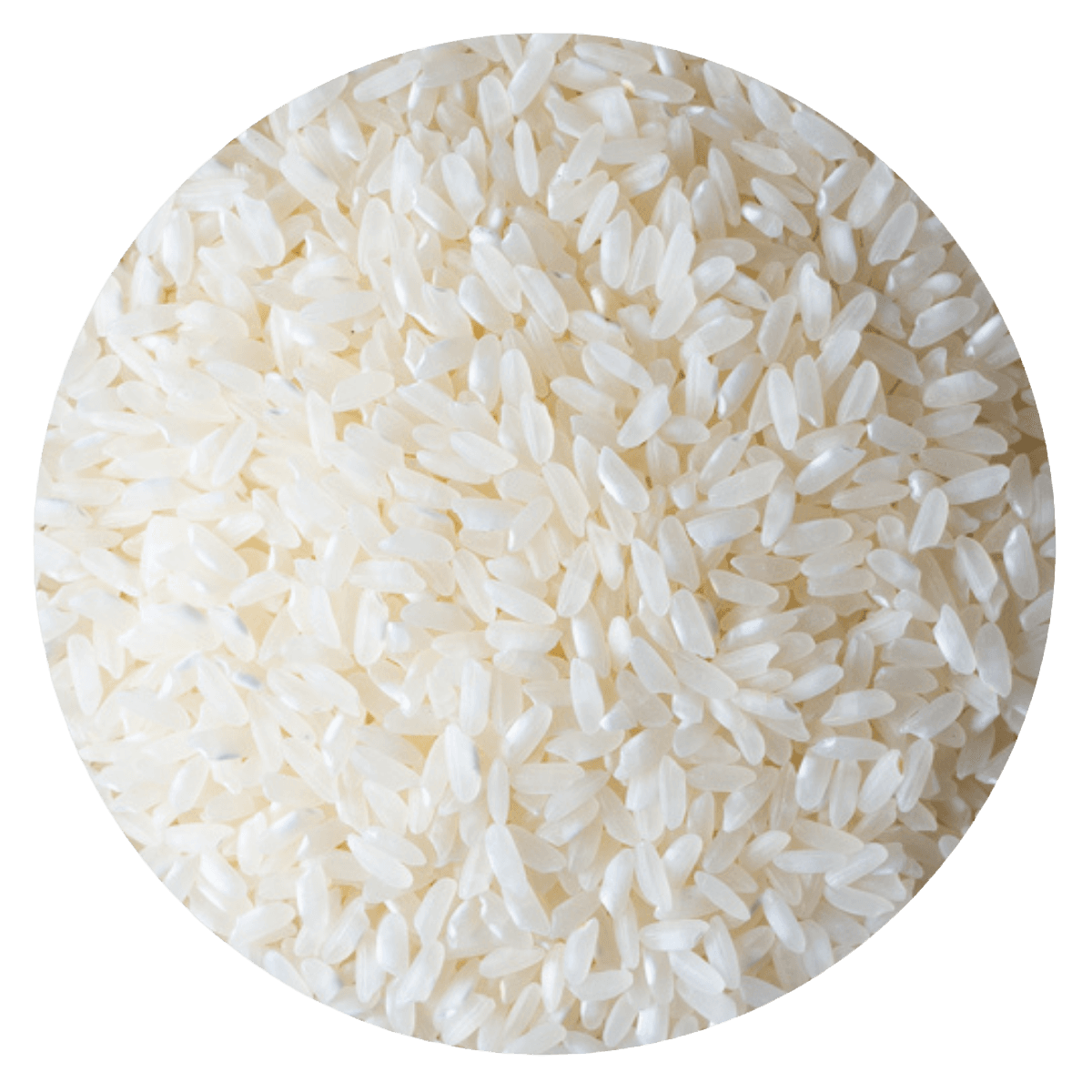 Arroz fortuna
