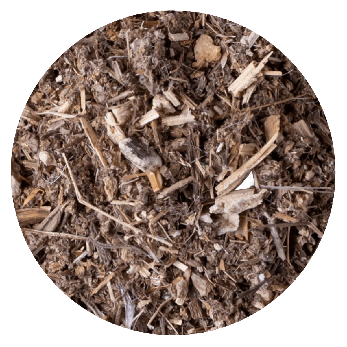 Alcachofa