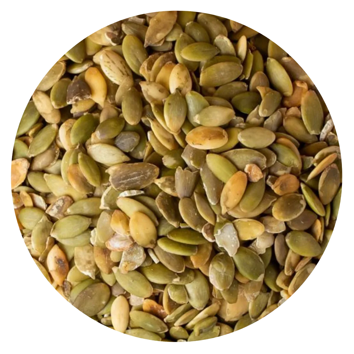 Semilla Zapallo A