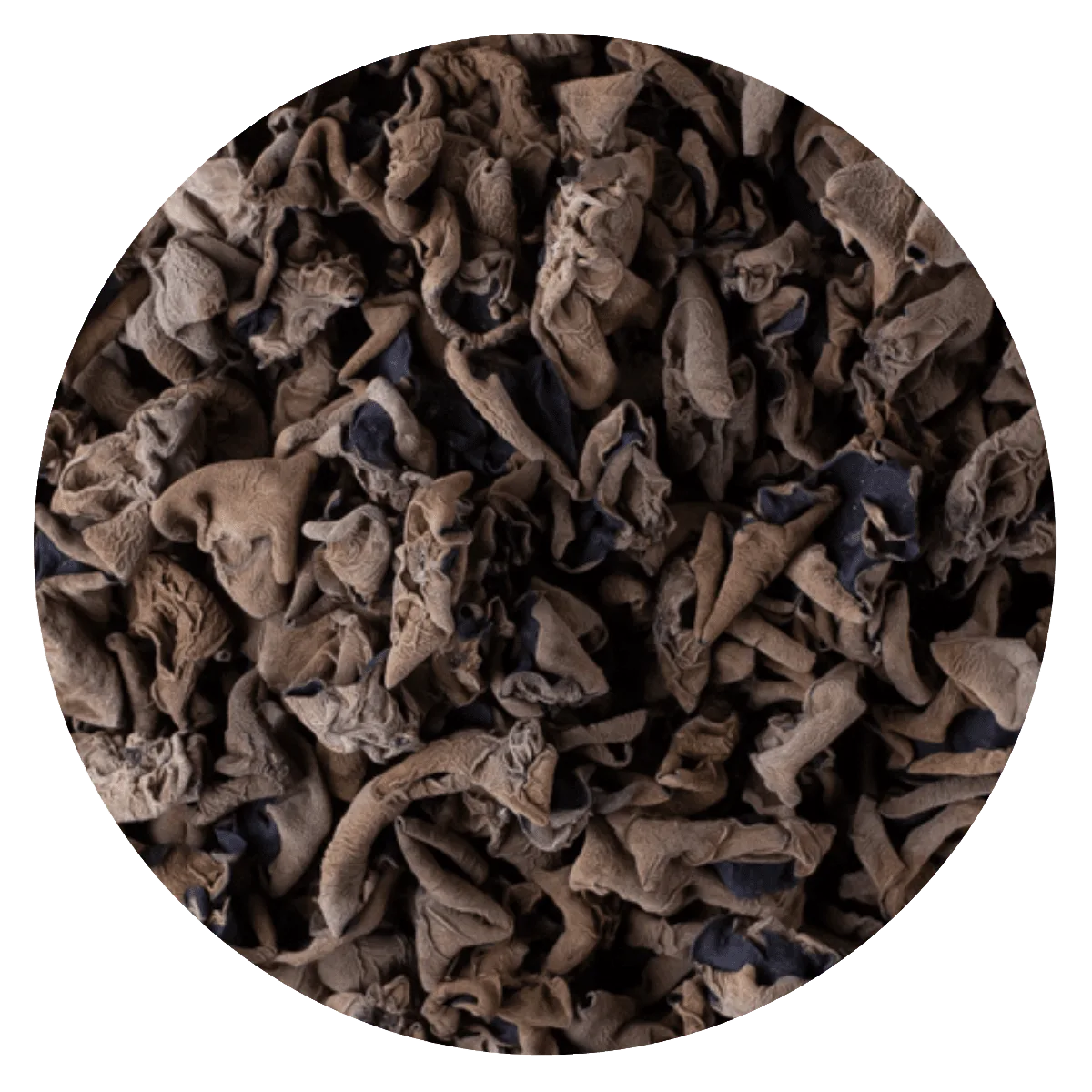 Hongo Black Fungus