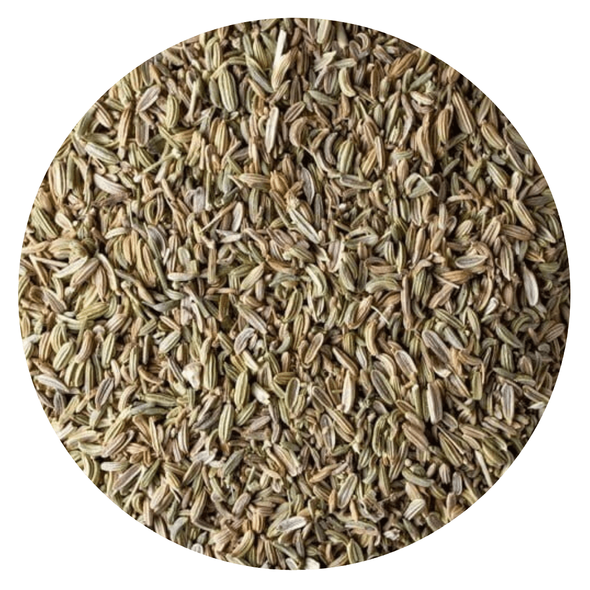 Semilla hinojo