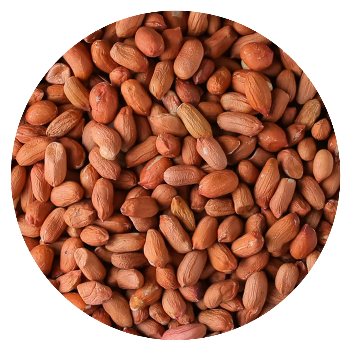 Maní Runner Crudo Entero 40 50