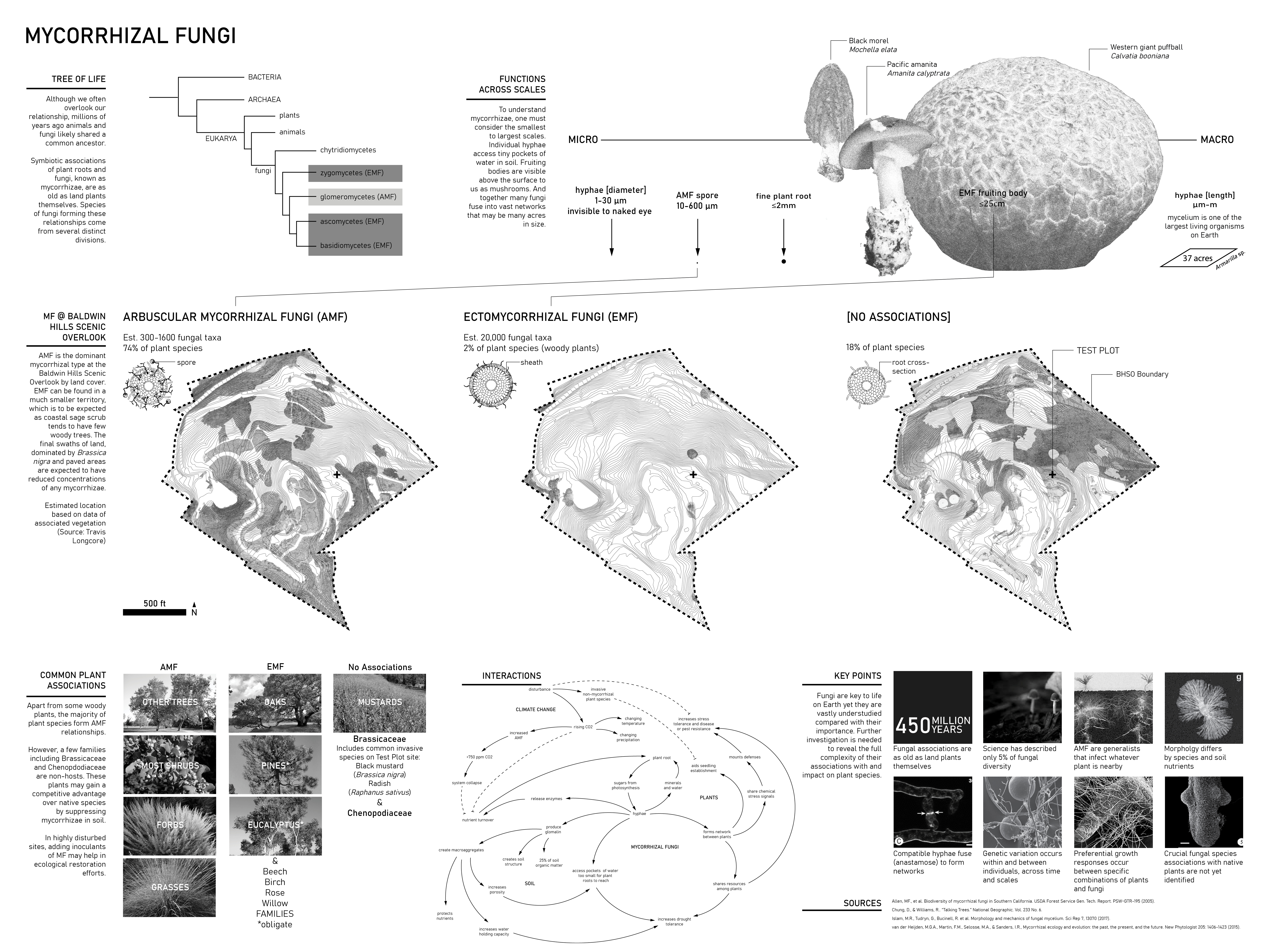 Test Plot at Baldwin Hills Studio Group Work (all MLA '22): Andrea Binz, Gabrielle Castriotta, Yue Chen, Kunyang Guo, Asher Guzik, Yuxin Jia, Lara Lebeiko, Jin Ma, Dani Velazco, Yifan Yin