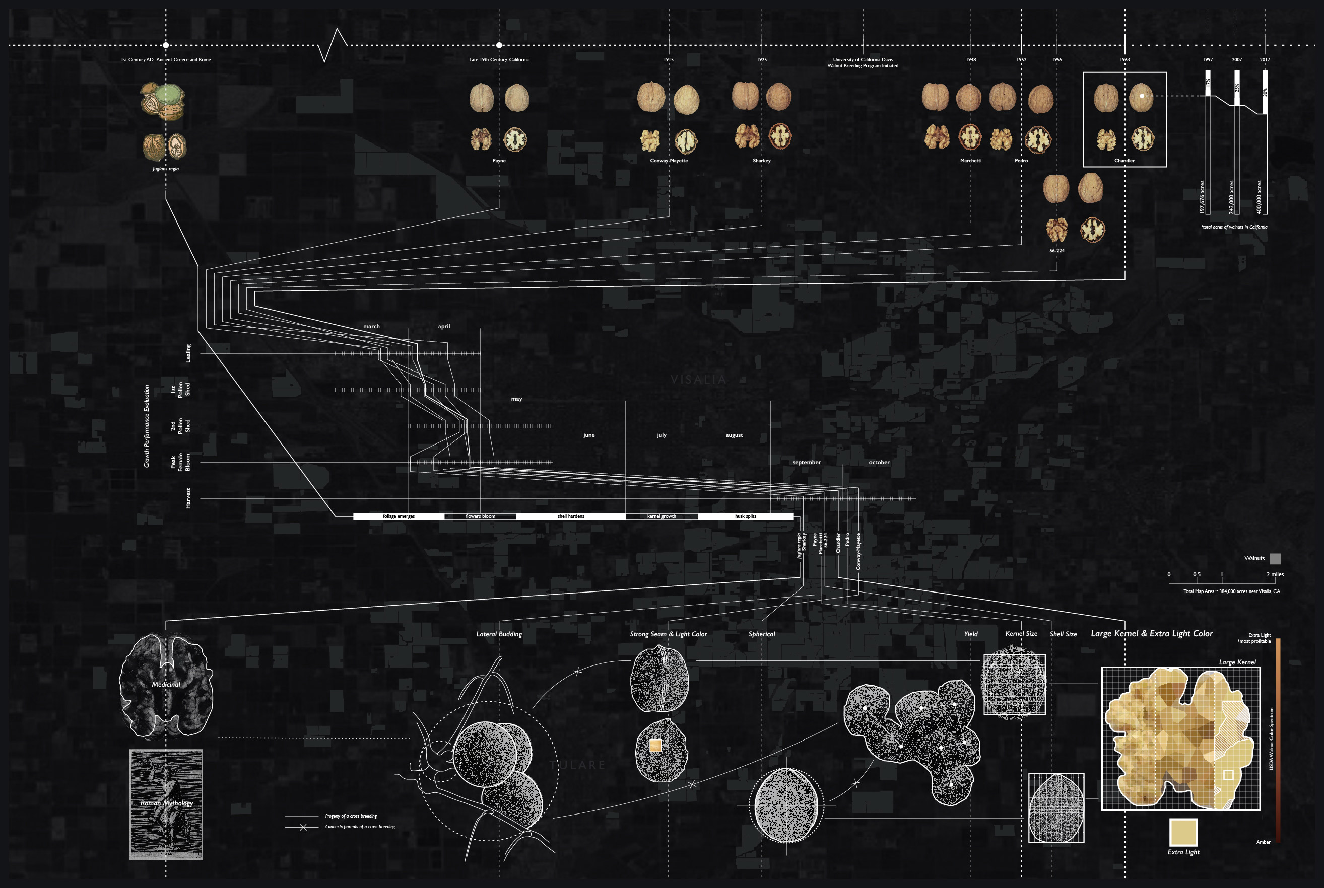 Alienscape: Towards a Theory of Inclusion and Emergence in Agriculture Alex Nuffer
