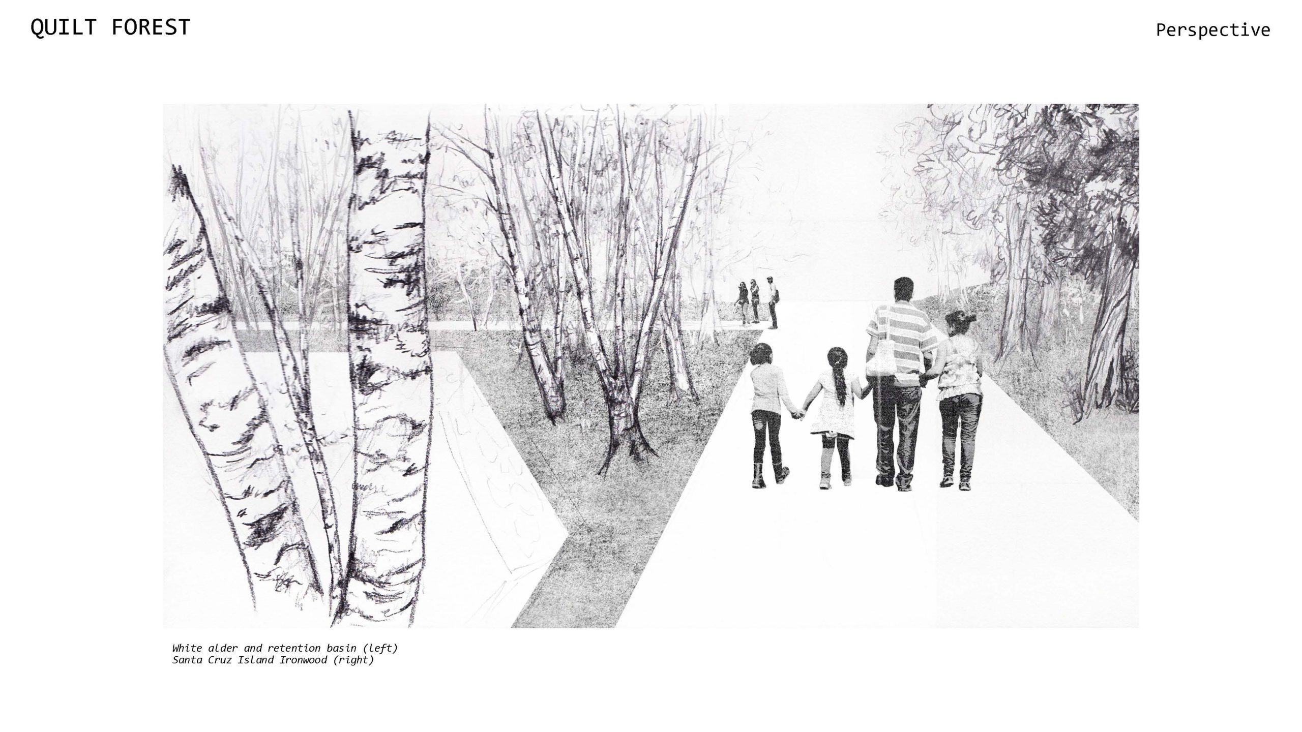 Quilt Forest Andrea Binz, MLA+3 ’22