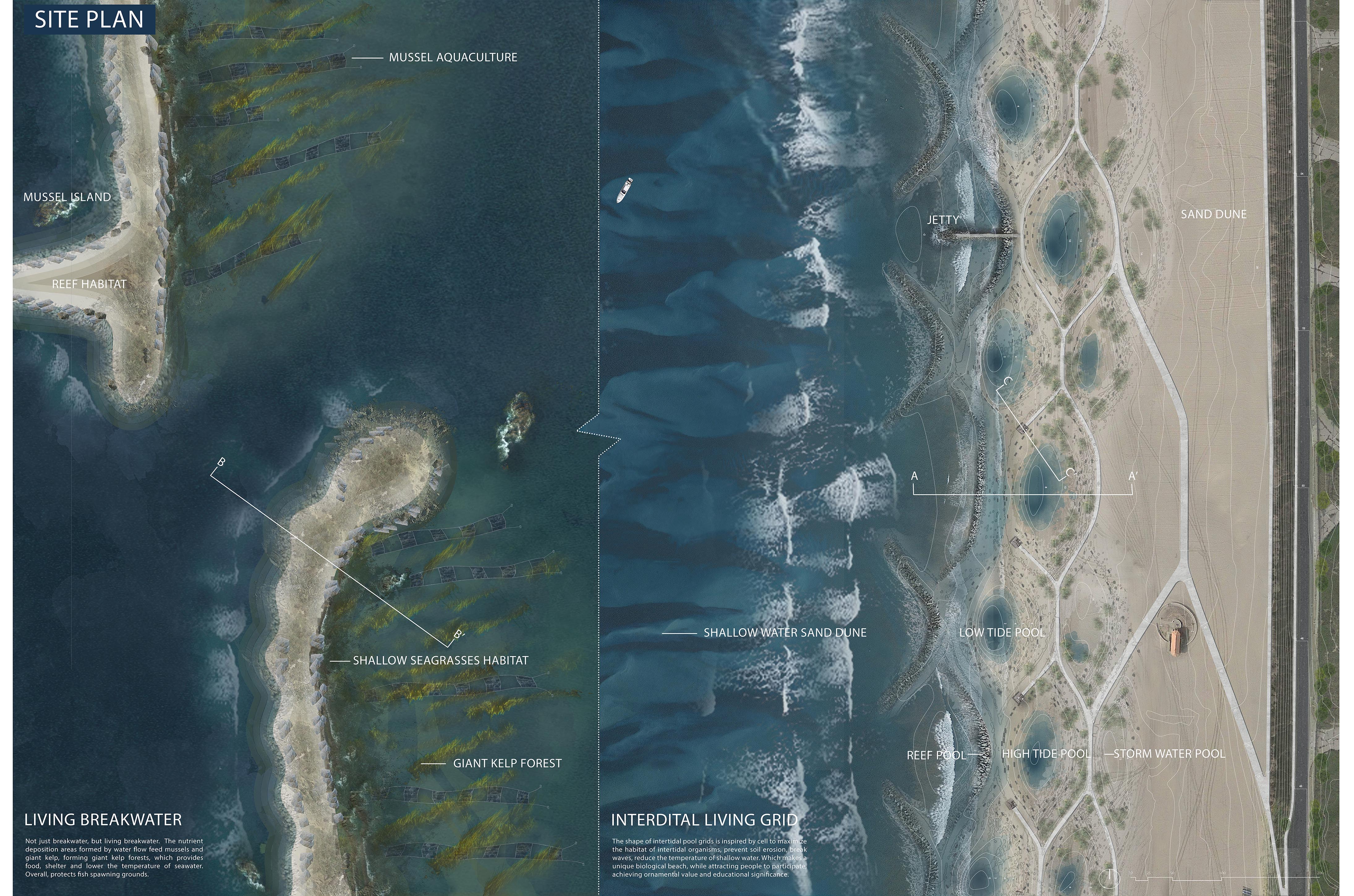 Ocean bounty under sea level rise Yihe Wang