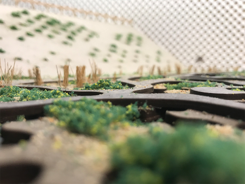 Ecological Patterns – Bridge Between Existing Hydrology and Restoration Mandate Bangpeng Ding