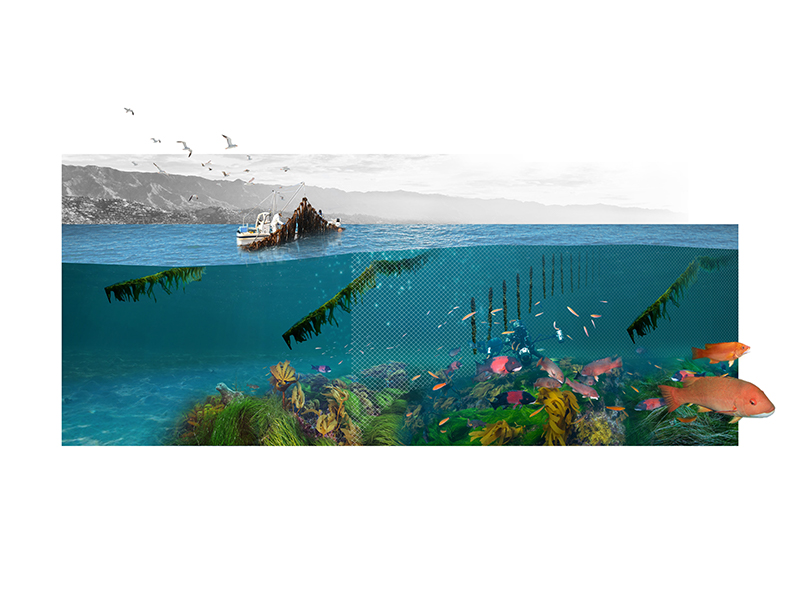 Toward a Sustainable Seafood Future: Overfishing and Economics Andrea Binz, MLA+U '22 and Colin Amos, MLA+U '22