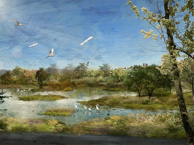 A Riverine Habitat Observatory Lufan Hu