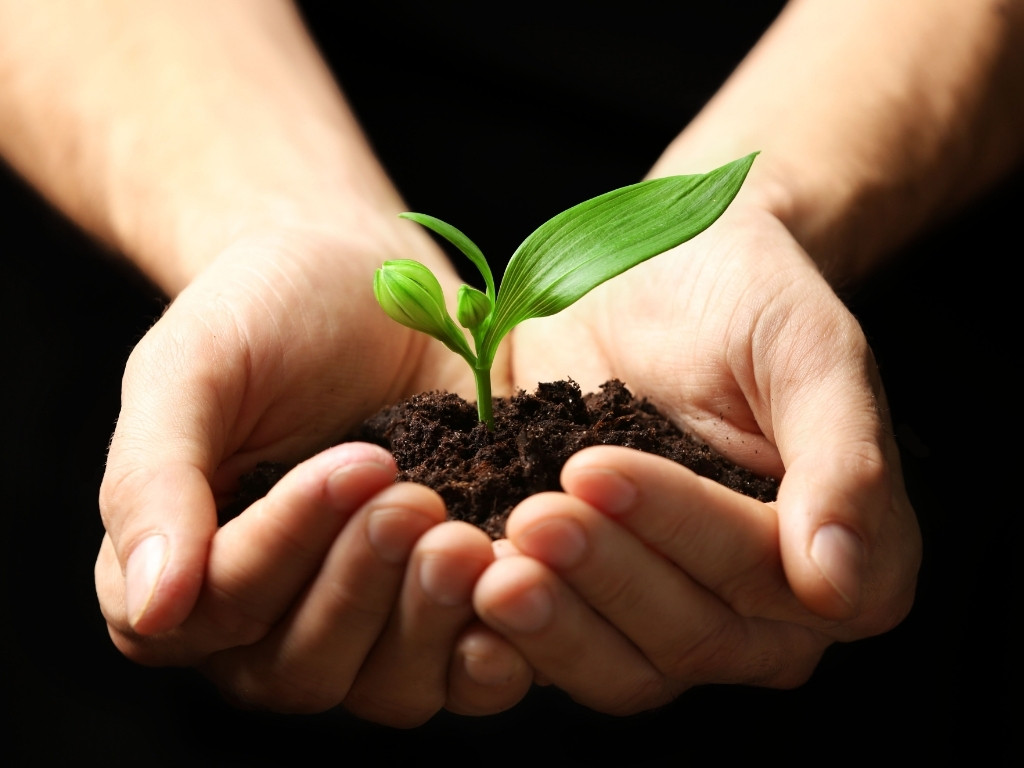 Sustainable Self-Care: Nourishing Ourselves to Support Others