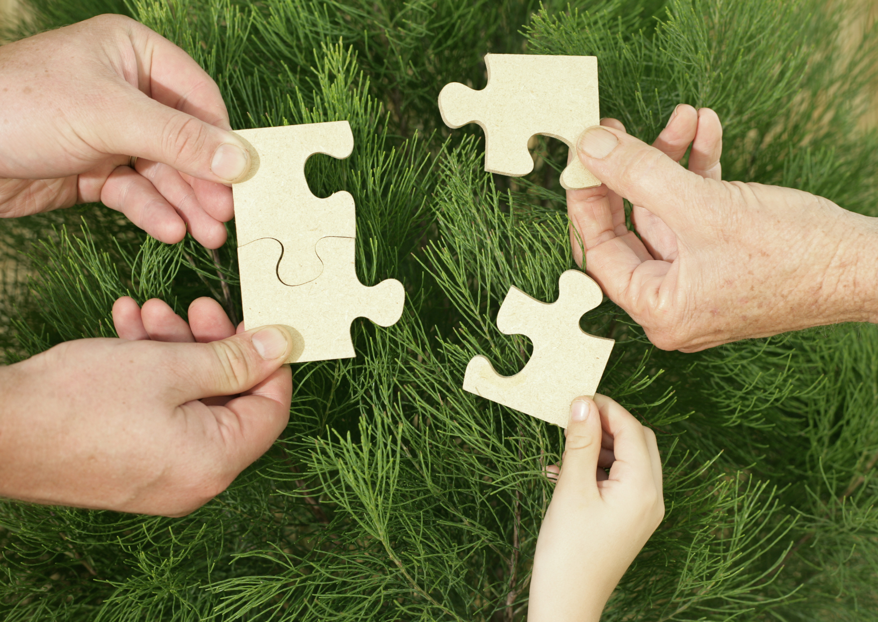 Parental Imprisonment: Schools, Prisons and Families Working Together to Reduce Trauma