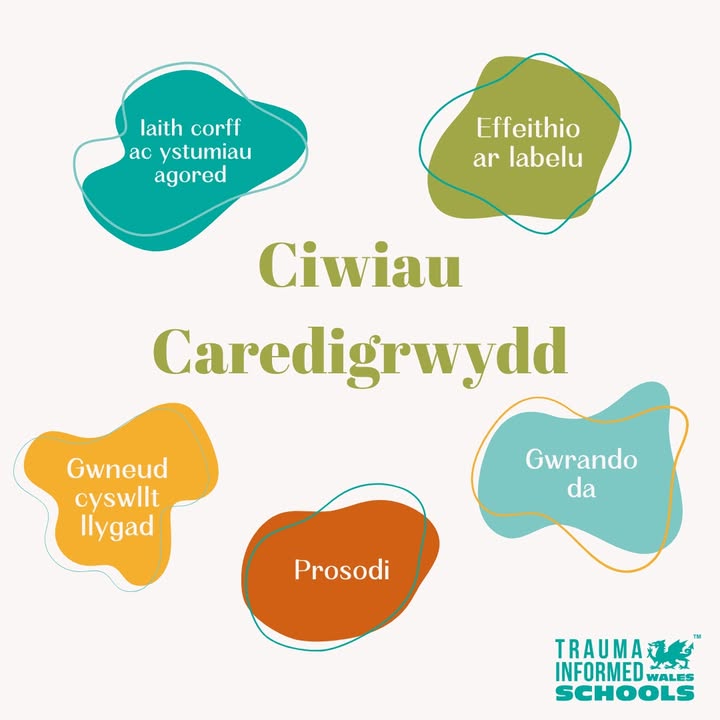 💛 Ciwiau Caredigrwydd 💛