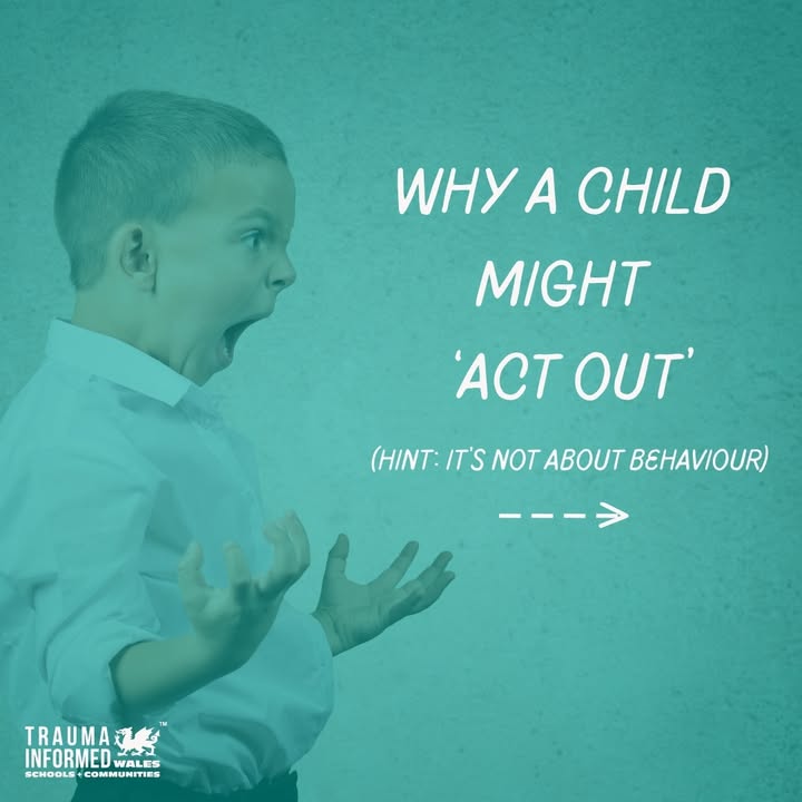 Have you ever thought "Why are they 'acting out', they were so calm just then?!"