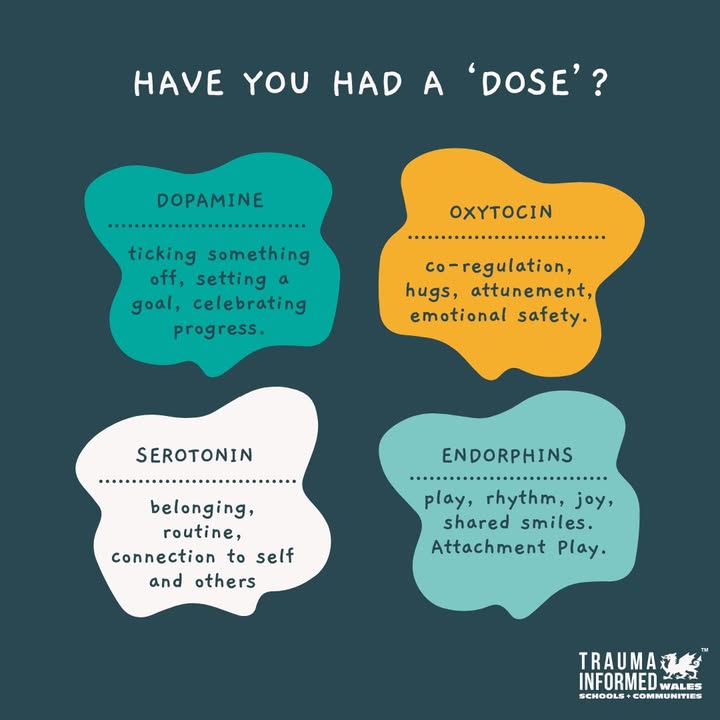 🧠 Have you had a 'DOSE'? | Cymrwch ‘DOSE’ 🧠
