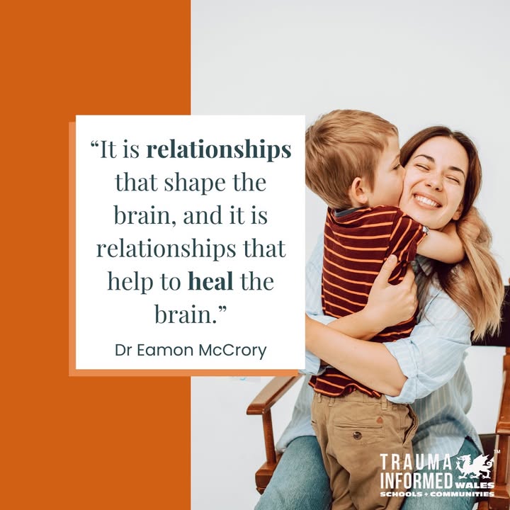When a child has faced adversity, what makes the biggest difference isn’t a perfect intervention; it’s a safe, consistent, emotionally available adult.