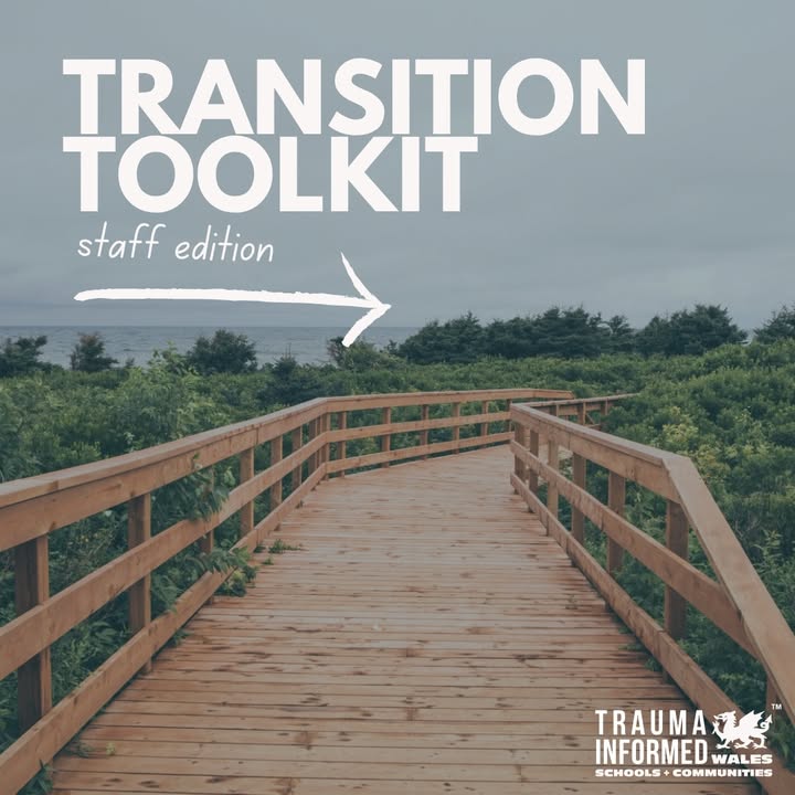 Pecyn Cymorth Pontio: Argraffiad Staff | Transition Toolkit: Staff Edition