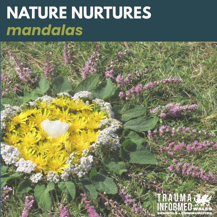 Nature Nurtures 🌿