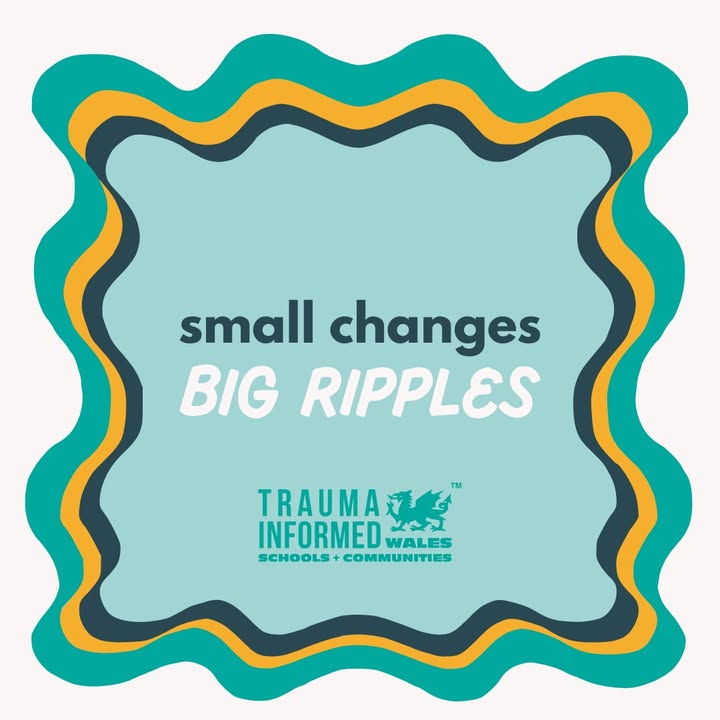 ✨ Small Changes...Big Ripple Effects (Part. 4) Back to School Edition 👨‍🎓