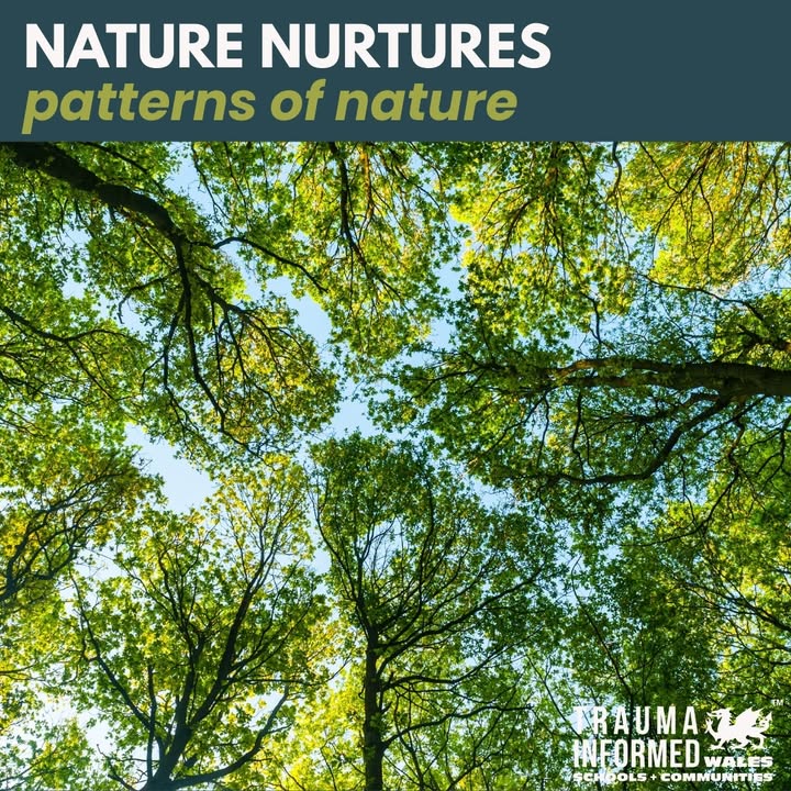🍁 Nature Nurtures 🍁