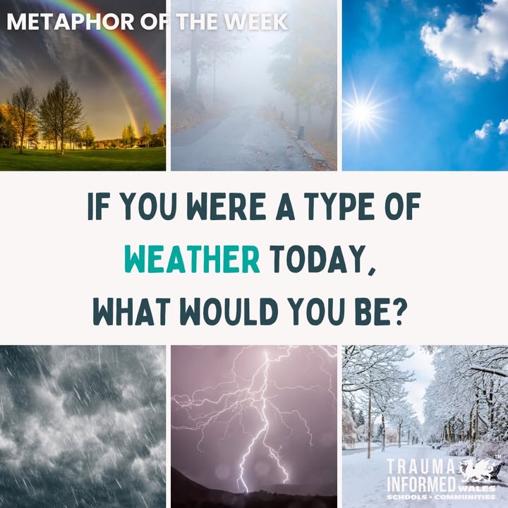 Metaphor Check-Ins 🌦️