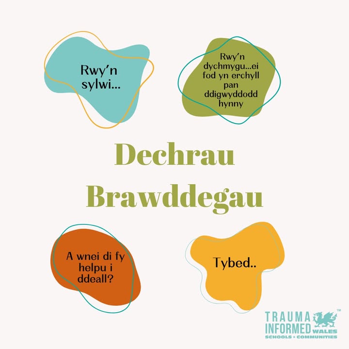 Dechrau Brawddegau 💬
