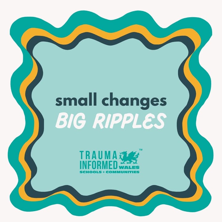 ✨Small Changes...Big Ripple Effects ✨