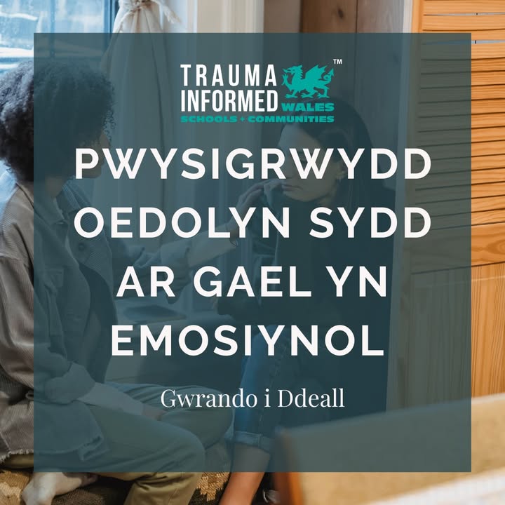 Pwysigrwydd oedolyn sydd ar gael yn emosiynol | The importance of an Emotionally Available Adult