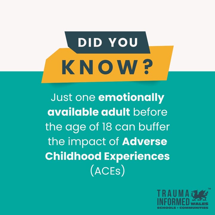 For those who have experienced Adverse Childhood Experiences (ACEs), the presence of an emotionally available adult can make all the difference. A trusted attachment provides a sense of safety, stability, and connection; all the key ingredients for growth.