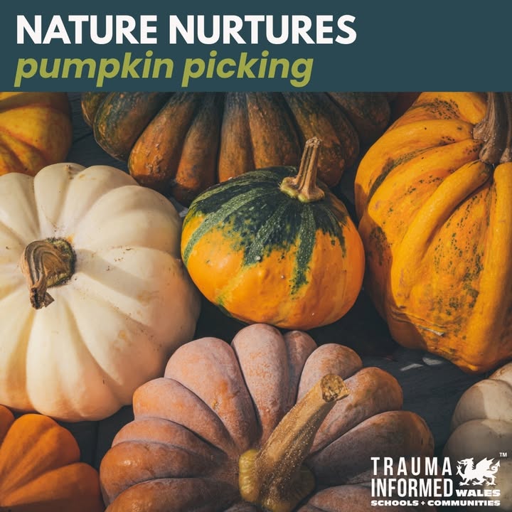 🍁 Nature Nurtures 🍂